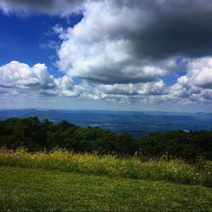 Meet your Posher, Ross